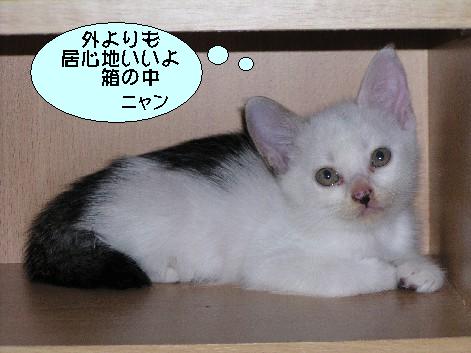 ����16�N6��24��