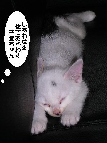 ����16�N6��25��