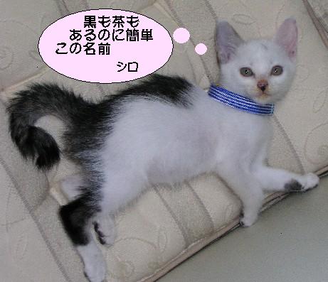 ����16�N6��28��