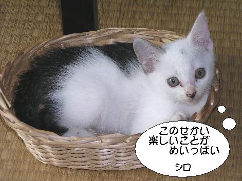 ����16�N7��2��