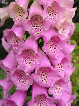 �W�L�^���X