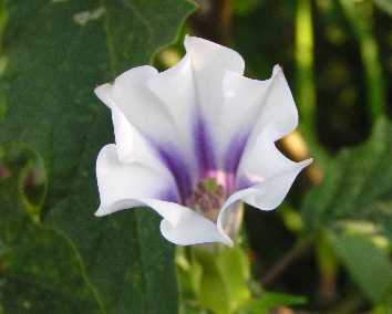 �m�풩�N����