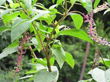 �m��R����