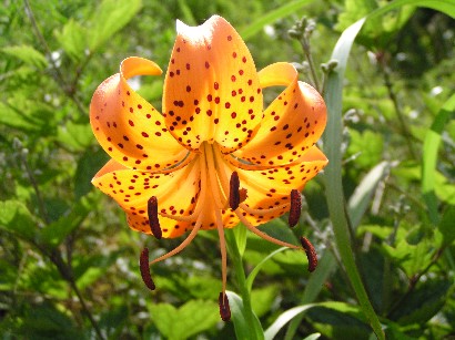 ���S�S��