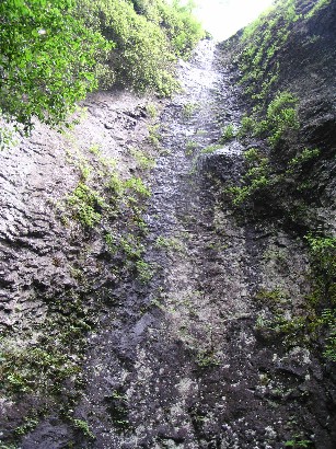 ��ÒJ�R�o�R�E�ʃ��[�g�u�s����E�j��v