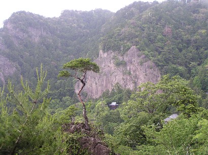 �P�����E����