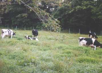 �����q��