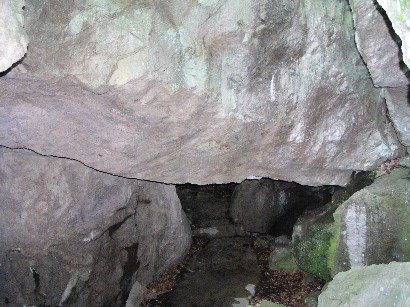 ��ÒJ�R�o�R�E�ʃ��[�g�u�������茊�v