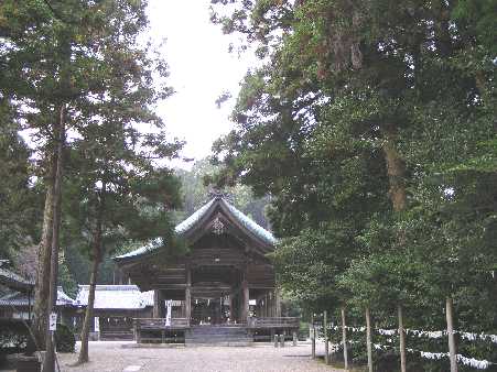 �����_��