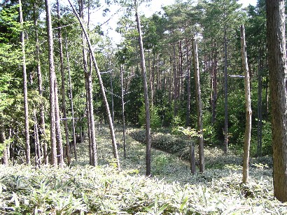 �I�R����