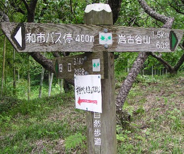 �a�s�o�R��