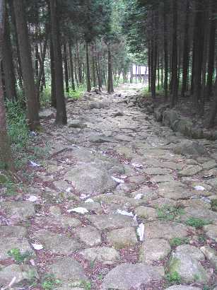 ���i���̐Ώ�