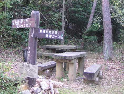 ���m���R�[�X����_