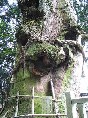 �_���_��